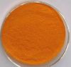 Plant extract best price turmeric powder curcumin 95%