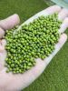 High Quality Mung Bean...