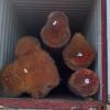 Teak Wood - Round Logs...