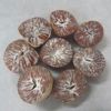 Dried Betel Nuts