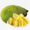 Wholesale Jackfruit Fresh with Best Price Buy Fresh Jackfruit