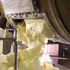 Pure Cow Butter Ghee
