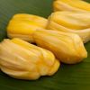 Wholesale Jackfruit Fresh with Best Price Buy Fresh Jackfruit