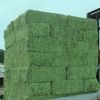 Animal Feed Alfalfa Meal, Alfalfa Hay