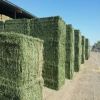 alfalfa hay, Oaten Hay, Timothy Hay