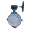 Butterfly Valve