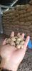 Cashew Nut & Dried...