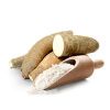 Fresh Cassava, Cassava Flour, Cassava Starch