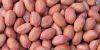 Groundnut(Peanuts)