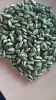 Green Cardamom (6mm - 9mm), FACNY GREEN, GREEN - HIGH QUALITY INDAIN CARDAMOM