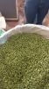 Green Cardamom (6mm - 9mm), FACNY GREEN, GREEN - HIGH QUALITY INDAIN CARDAMOM