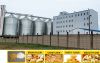 Multi-story Steel Stru...