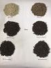 Black Pepper
