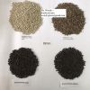 Black Pepper