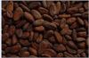 Cocoa Beans