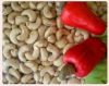 Cashew Nuts