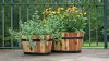 Wooden Barrel Pot Planters Oval Style Flower Plants Wooden Planter
