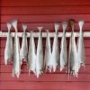Dried Stockfish Cod fr...
