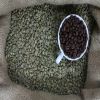 Coffee Bean Common Cul...