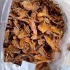 Best Dried Turmeric-Dry Turmeric For Sale-Dried Turmeric Wholesale Price-Dried Turmeric Price