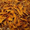 Best Dried Turmeric-Dry Turmeric For Sale-Dried Turmeric Wholesale Price-Dried Turmeric Price