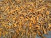 Best Dried Turmeric-Dry Turmeric For Sale-Dried Turmeric Wholesale Price-Dried Turmeric Price