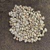 Java Arabica Green Cof...