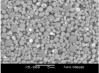 Iron Nickel Alloyed Po...