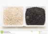 sesame seed, Sesamum, ...