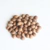 Nutmeg from Sulawesi