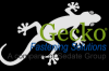 Gecko Fastening Soluti...