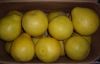 Best Quality Pomelo