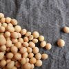 Bulk soybeans for export