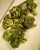 Dehydrated Broccoli fl...