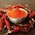 Frozen Chilli Puree IQF Hot Pepper Red Chili KOSHER Sty