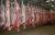 Fresh Frozen Beef Meat