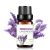Lavender Essential Oil...