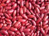 Red Kidney Bean, Gojam Type