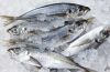FROZEN FISH