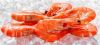 FROZEN FISH
