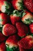 Fresh Strawberry