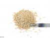 Top Quality organic Sesame Seeds
