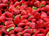 Fresh Strawberry