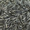 Sunflower Seeds