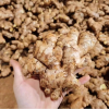 100% Pure Fresh Organic Ginger