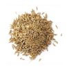 Bulk cumin seeds exporter