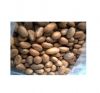 Bitter Kola Nuts, Bulk Export for Medicinal and Herbal Use