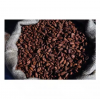 Cacoa beans