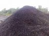 Palm Kernel Shell (PKS)