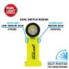 INTRANTÂ® Intrinsically Safe Dual- Light , Angle Light